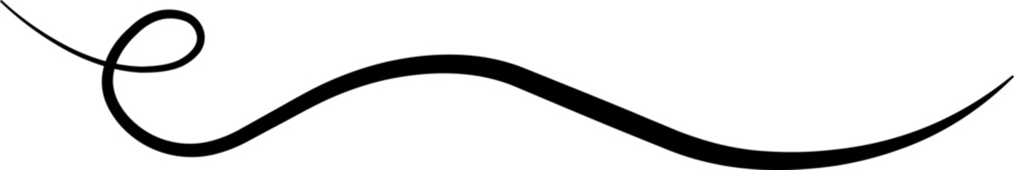 Hand drawn curly swiss, swashes, swoop. Calligraphy swirl. Highlight text element Vector isolated on transparent background. Underline typography tail shape. Brush drawn thick curved smear.