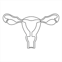 Female reproductive uterus of continuous single line art drawing and woman day one outline vector art illustration