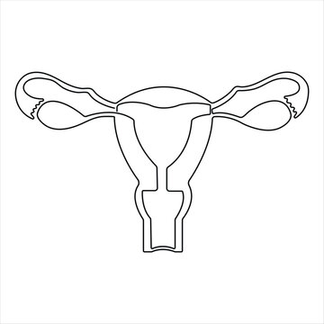 Female reproductive uterus of continuous single line art drawing and woman day one outline vector art illustration