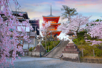 Obraz premium Kiyomizu-dera temple in Kyoto, Japan with beauiful full bloom sakura cherry blossom in spring