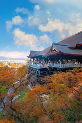 Fototapeta premium Kiyomizu-dera temple in Kyoto, Japan with beauiful full bloom sakura cherry blossom in spring