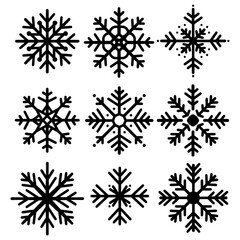 set of snow flake on white background. vector EPS 10