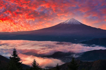Photo sur Plexiglas Corail 新道峠より朝の雲海と富士山