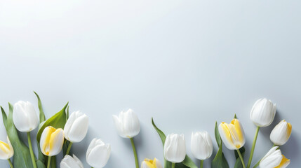 A serene composition of white and yellow tulips laid out against a calm blue background with ample copy space.