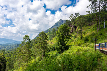 Fototapeta na wymiar Beautiful highland nature of the island of Sri Lanka.