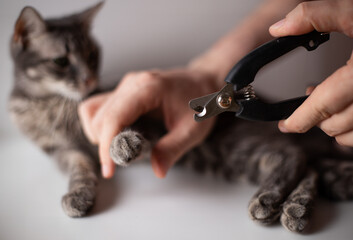 Cat nail clippers