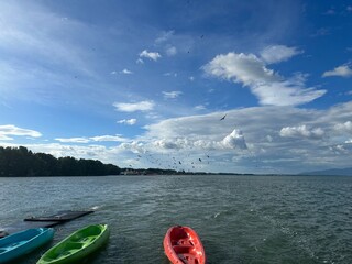 Sail unfurls like a butterfly's wing, slicing through turquoise bliss. Adventure awaits on open waters, where sea and sky meet in an endless
