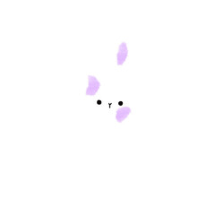 cute rabbit
