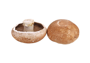 Fresh Portobello mushrooms transparent png