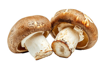 whole and halved porcini mushroom on a white isolated background