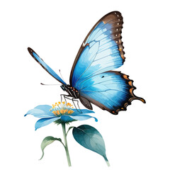 Blue Morpho Butterfly on Blue Flower Watercolor Clipart