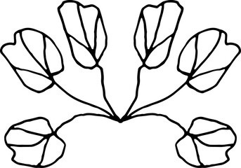 Botanical Floral Branches Line Art Illustration