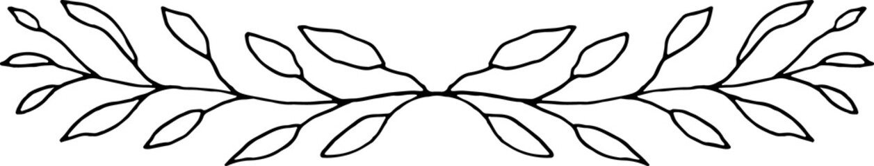 Botanical Floral Branches Line Art Illustration