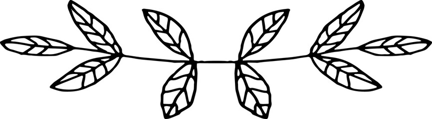 Botanical Floral Branches Line Art Illustration