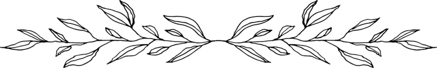 Botanical Floral Branches Line Art Illustration