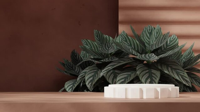 white cylinder podium seamless shadow animation looping with green leaf and brown wall, 3d video rendering empty scene
