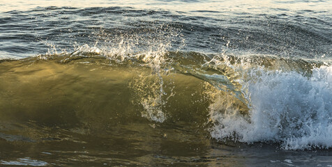 Crisp, Clear, Ocean waves