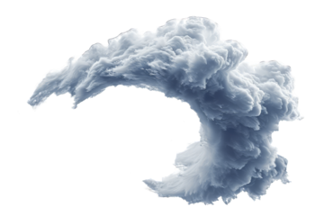 resembles a wave or cloud with curling edges and swirls within its structure