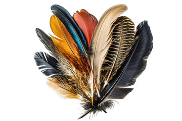 collection of various feathers