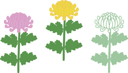 色の違う３本の菊の花のベクターイラスト - obrazy, fototapety, plakaty