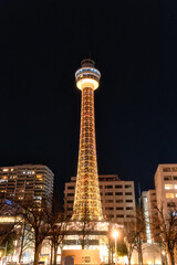 横浜市　山下公園のイルミネーション