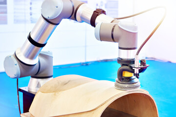 Standard multipurpose robot arm for woodworking