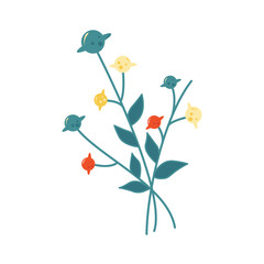 magical bouquet of Saturns, mystical plants. Hand drawing boho and witchcraft style on a transparent background