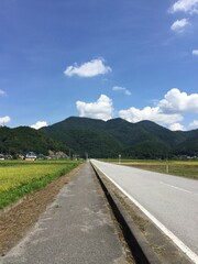 田舎の真っすぐな道路と田畑