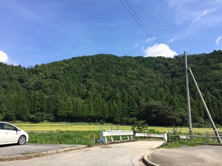 道路わきに見える田舎の山
