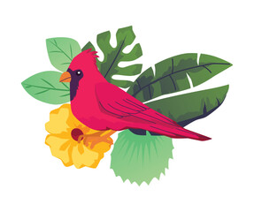 Red cardinal, tropical bird in leaves, cartoon vector illustration on white
