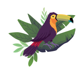 Tropical black toucan bird, cartoon beautiful exotic wild bird with orange beak, jungle fauna and flora vector isolated