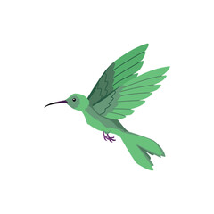 Flying hummingbird bird with long beak turquoise plumage, vector beautiful exotic small colibri wild bird tropical fauna