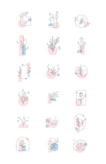 Aesthetic Minimalist Plant and Flower With Shape Illustration Design Shape