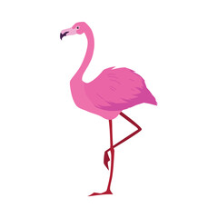 Flamingo bird standing on leg in profile, flat vector illustration isolated.