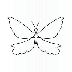 Butterfly one line continuous vector art drawing illustration and single line drawing of flying butterfly	