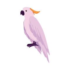 Cockatoo parrot, exotic bird of Australia and Indonesia, flat vector isolated.