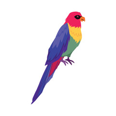 Tropical Ara parrot with bright colorful plumage, vector cartoon exotic Macaw parrot, wild bird from tropical rainforest