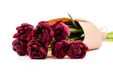 Bunch of dark burgundy double tulips wrapped in recycled brown paper isolated on white background....