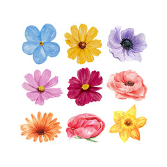 Lovely Watercolor Floral Illustration For T-shirt And Other Merchandise, Flowers Vector Art