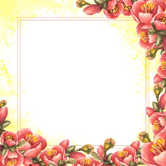 Watercolor painted square frame of flowers, buds, leaves of quince, apple or Japanese pear, spring blooming Template illustration for card, menu labels Isolated white background with yellow splashes.