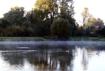 Fototapeta na wymiar Lake in Autumn in the Town Walsrode, Lower Saxony