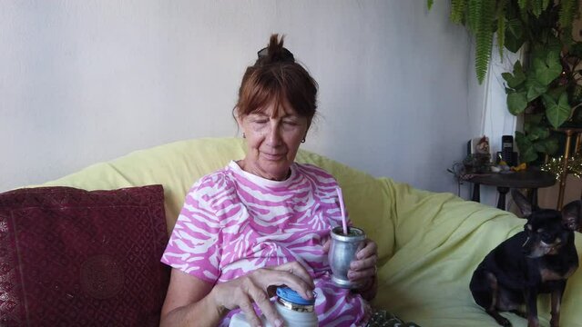 Caucasian Elder Woman Drinks Mate Herbal South American Tea at Home Sofa w Dog Tradition of Argentina Uruguay Brazil and Paraguay