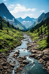 Obraz premium mountain river in the mountains