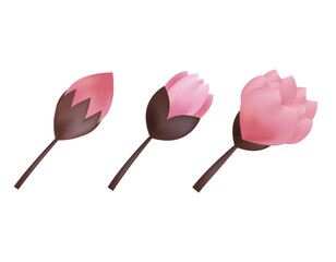 桜のイラスト　桜の花びら