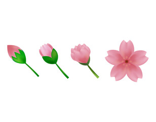 桜のイラスト　桜の花びら