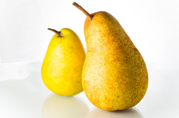 Two ripe yellow pears on a white background