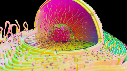 Abstract illustration of the biological cell