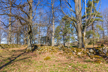 Cultural landscape with trees and old stone walls and meadows