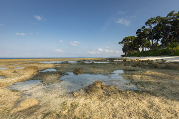 Fototapeta na wymiar Lakshmanpur beach at the tropical coast of Neil or Shaheed Dweep island in Andaman and Nicobar archipelago