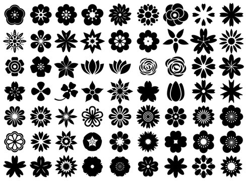 Flower vector silhouette icon collection